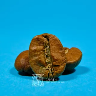 چگونه بهترین قهوه را برای خود انتخاب کنید؟ راهنمای جامع برای خرید قهوه